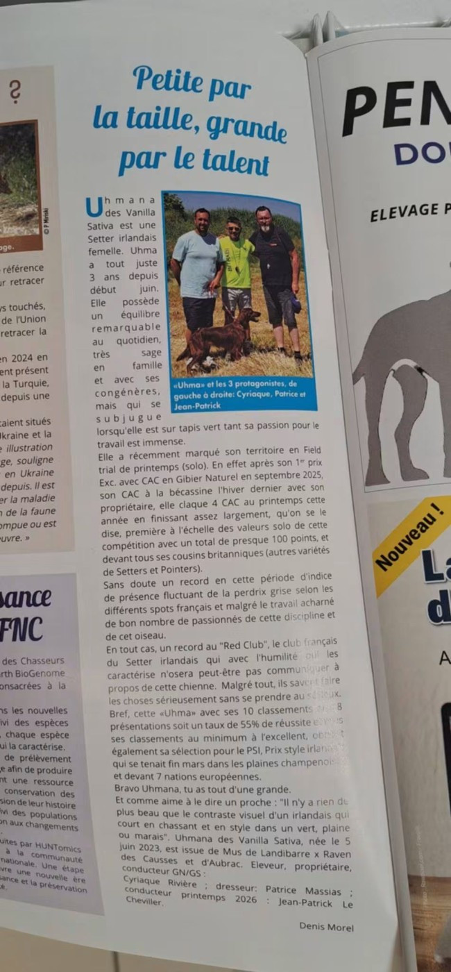 On parle de Uhmana dans le magazine "chien de chasse"